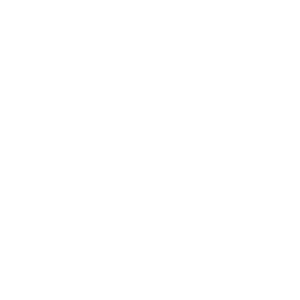 Special.T